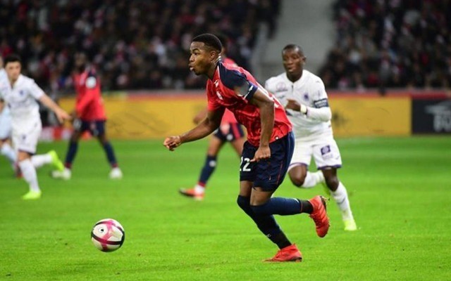 那一年的亚 那一年的亚