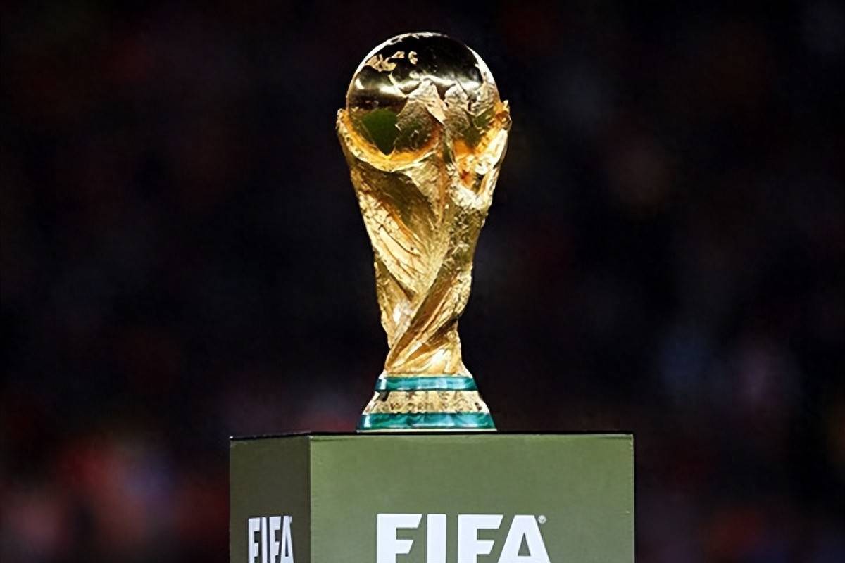 马拉多纳进 马拉多纳进